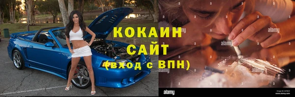 сатива Богданович