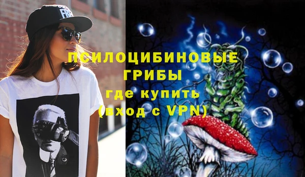 сатива Богданович