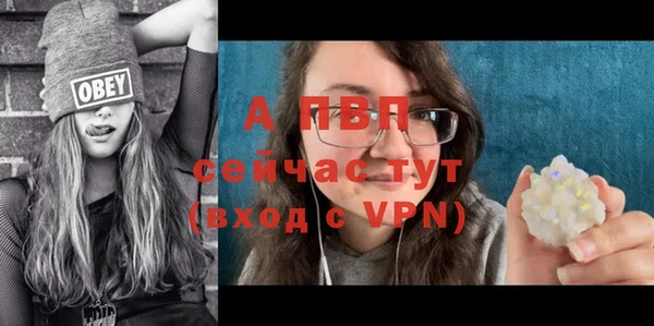 a pvp Богородицк