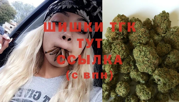 сатива Богданович