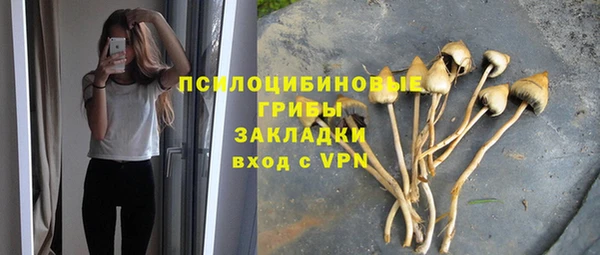 сатива Богданович