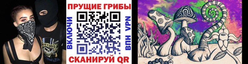Псилоцибиновые грибы GOLDEN TEACHER  как найти наркотики  Демидов 